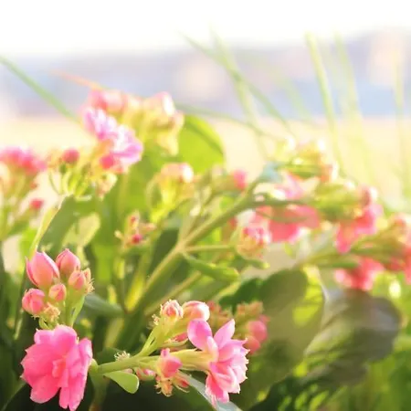 Monopoly House - Families Only! Lizbona